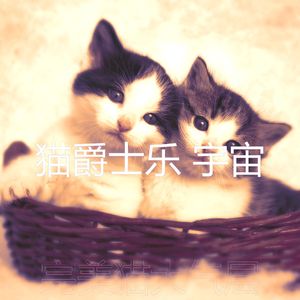 柔和的猫在家时刻