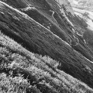 23 (April 4th, 2021)