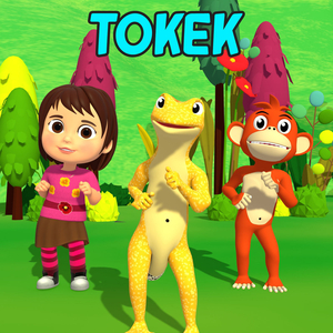 Tokek