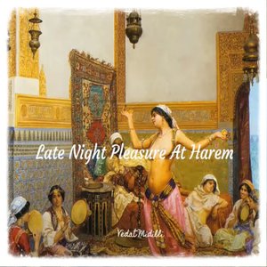 Late Night Pleasure At Harem