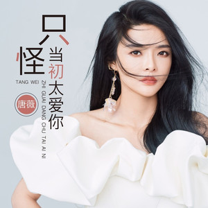 只怪当初太爱你 (DJ女版伴奏)