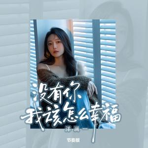 没有你我该怎么幸福（节奏版）