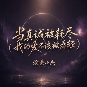 当真诚被耗尽(我的爱不该被看轻)
