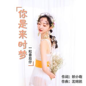 你是来时梦