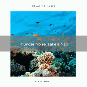 Perfect Stream Sounds: Take a Nap