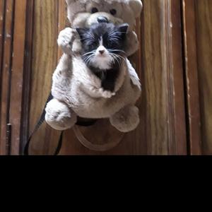 Some Things Will Never Change (feat. Sean Williams)