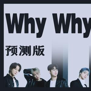 IKON-WHY WHY WHY（毛线怪MXG remix）
