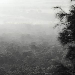 Move it (Radio Edit)