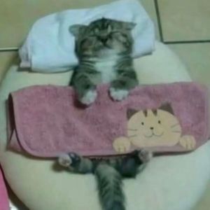 #GiveItARestRmx(p.rabi)