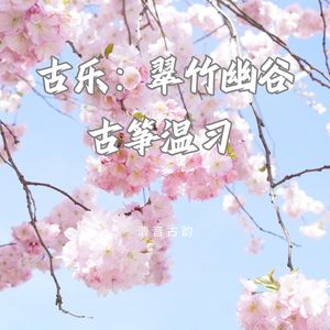 翠湖春晓 (古筝静谧)