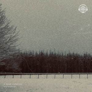 seeking for the northern star