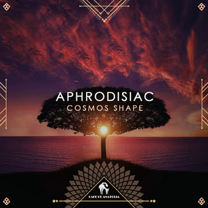 Aphrodisiac (Acoustic Version)