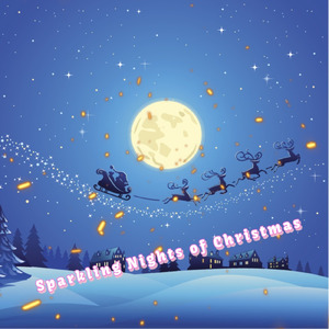 きらめくクリスマスの夜