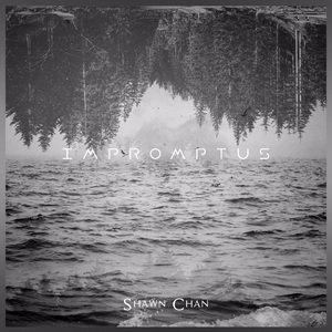 Impromptu No.1 in A Minor (a小调第1号即兴曲)