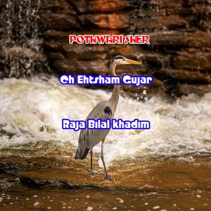 Ehtsham Gujar Raja Bilal khadim