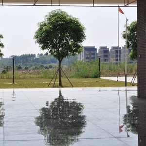 错位抉择