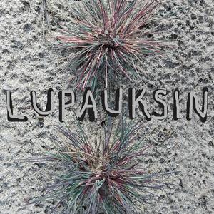 Lupauksin