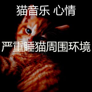 精彩小猫环境