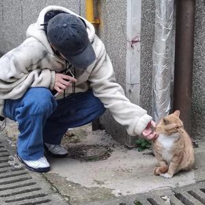 情书（翻自 2Tony）