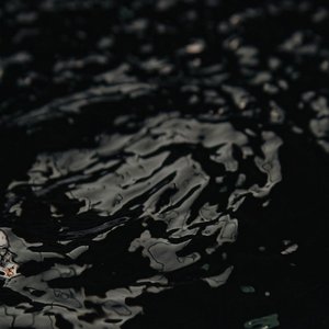 雨与鱼