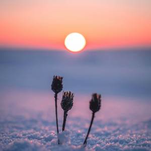 Tàladh Chrìosda (The Christ-Child's Lullaby)