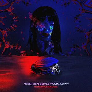 Seni Böyle Tanımadım