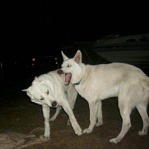 words i can't say (feat. i don't like myself)