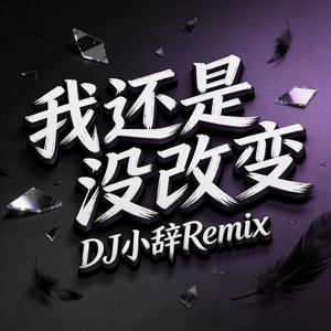 我还是没改变 (DJ小辞Remix)