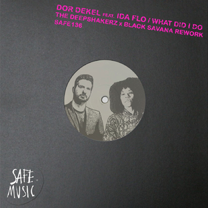 What Did I Do (The Deepshakerz X Black Savana Rework)