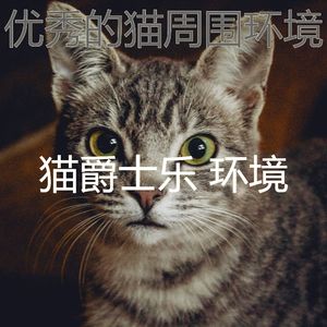 微妙的猫心情