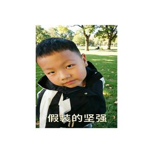 假装的坚强