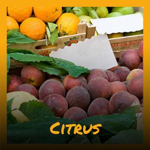 Citrus