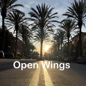 Open Wings "Ангел скуки"