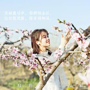 爱你在心上-张鑫