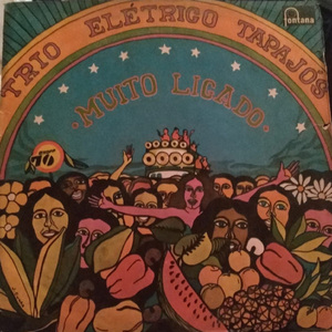 Na Onda do Berimbau, Flor de Laranjeira, Foi Um Rio Que Passou Em Minha Vida, O Pequeno Burguês