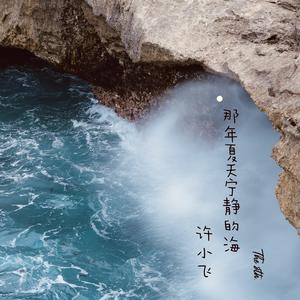 那年夏天宁静的海