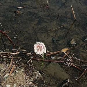 雨踪云迹(prod.by Morrow x IOF)