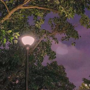 难题（片段版）（翻自 群星）