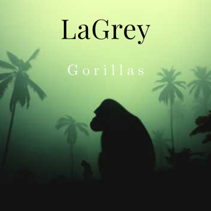 Gorillas