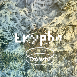 Dawn