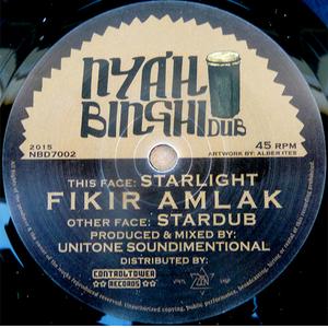 Starlight (feat. Fikir Amlak)