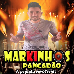 Me Apaixonei por uma Gari Gata