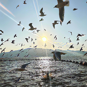 遇上你之前的我 （钢琴版）