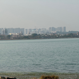 我就想安静的呆着