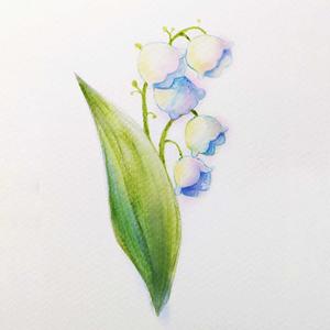 flowers of may