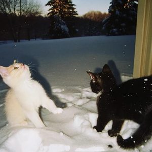 小胡同（郑润泽over）.wav