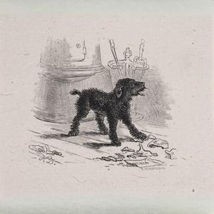 No House Is Small Enough to Keep Us Together