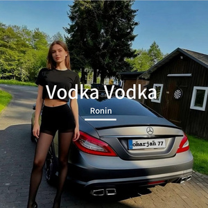 Vodka Beluga（ remix）