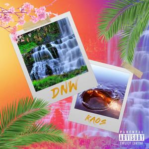 DnW
