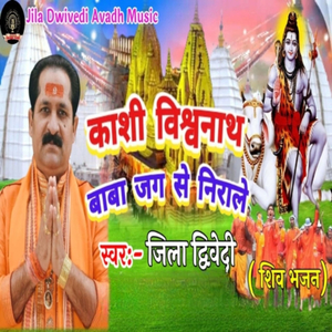 Kashi Vishvnath Baba Jag Se Narale (shiv Bhajan)